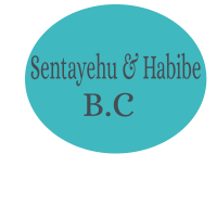 Sentayehu and Habibe Building Construction